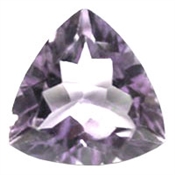 AMEBRA00086