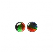 AMMOLITE001