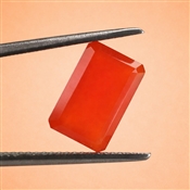 CARFAC00048