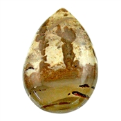 COLAMA0014