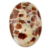 GALIM0012