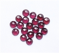 GARNEROSE004
