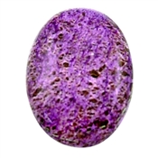 PURPU001