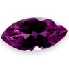 RHODOFAC00021MQ
