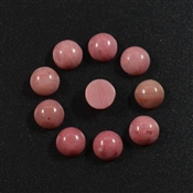 RPP0002