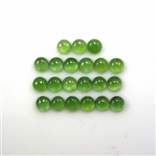 SERP000012