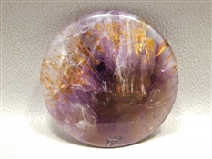 SSEV007